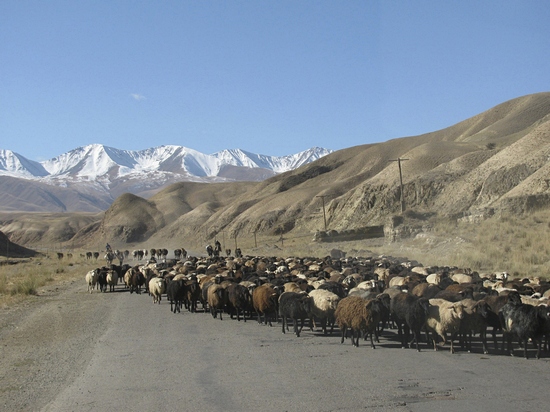 Kunstwerke aus Kirgisistan auf heimischen Böden